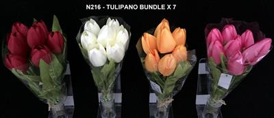 TULIPANO BUNDLE X7