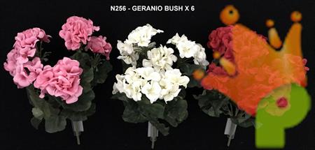 GERANIO BUSH X6