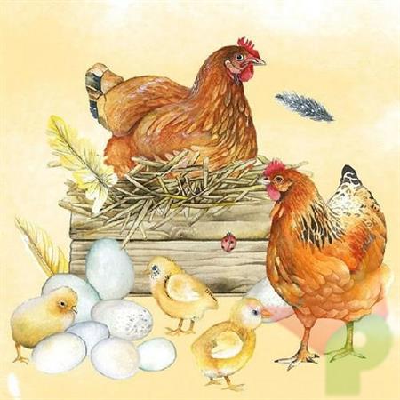TOVAGLIOLI 33X33 3V BREEDING CHICKEN 20PZ