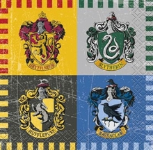 TOVAGLIOLI 25X25 HARRY POTTER 16PZ