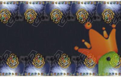 TOVAGLIA 120X180CM HARRY POTTER
