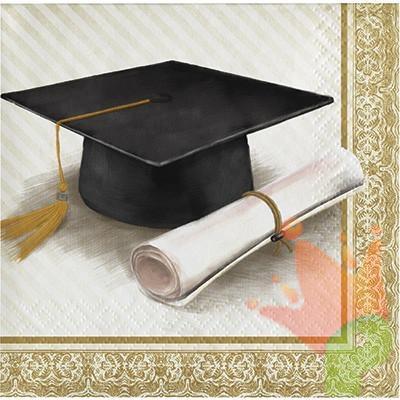 TOVAGLIOLI 25X25 LAUREA CLASSIC 16PZ