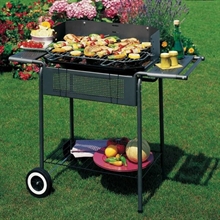 BARBECUE PORT CAMARGUE