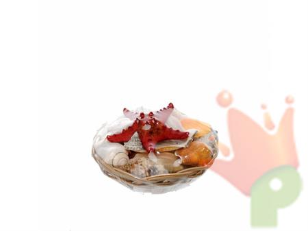 CONCHIGLIE CON CESTO 15CM