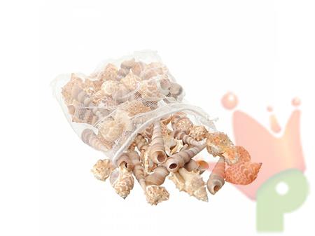 CONCHIGLIE MISTE 500GR