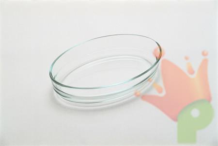 PIROFILA VETRO OVALE 21X13CM