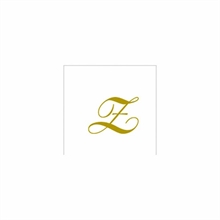 TOVAGLIOLI 25X25 2V LETTERA Z 20PZ