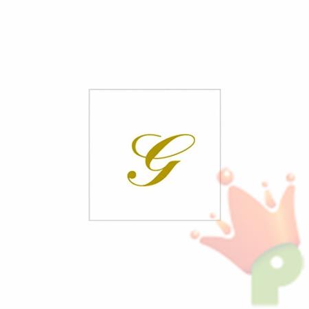 TOVAGLIOLI LETTERA G 25X25  20PZ