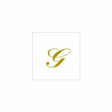 TOVAGLIOLI 25X25 2V LETTERA G 20PZ