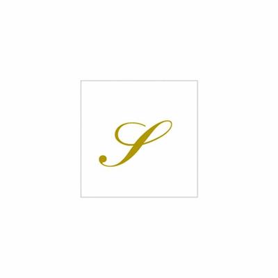 TOVAGLIOLI LETTERA S 25X25 20PZ
