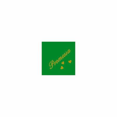 TOVAGLIOLI 25X25 2V VERDI PROMESSA 20PZ