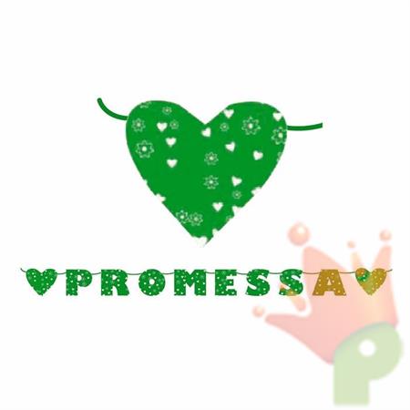 FESTONE MAXI PROMESSA 6MT