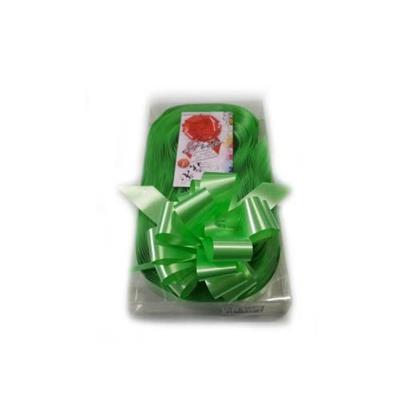 COCCARDE STRIP TIPO E 2100 31MM VERDE LIME COL 10 30 PZ