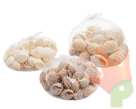 SACCHETTO CONCHIGLIE 3ASS 160GR NATURAL