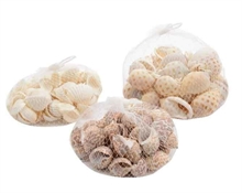 SACCHETTO CONCHIGLIE 3ASS 160GR NATURAL