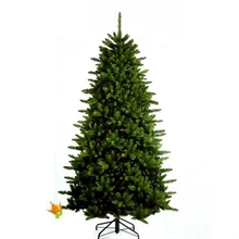 ALBERO REGENCY PINE CON LED 524 210 CM