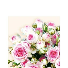 TOVAGLIOLI 25X25 MAXIMA CREAM