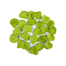 PETALI LUX VERDE CHIARO 100PZ