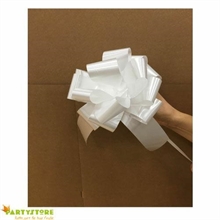 COCCARDE STRIP 50MM COL. 01 BIANCO 50PZ